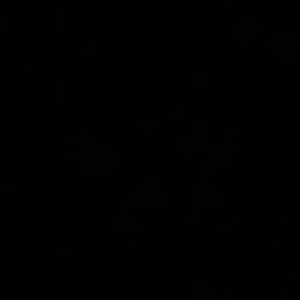 Meet your Posher, Laney